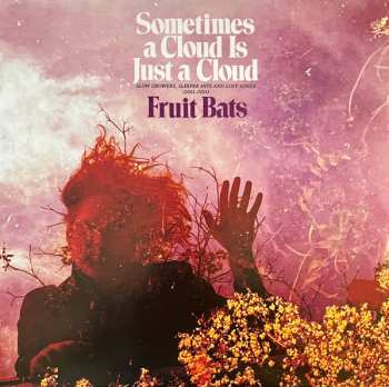 Album Fruit Bats: Sometimes A Cloud Is Just A Cloud: Slow Growers, Sleeper Hits, And Lost Songs (2001-2021)