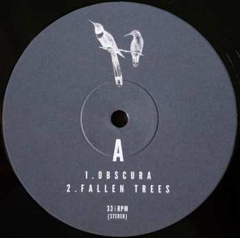 2LP Fuzzy Lights: Twin Feathers 89723