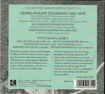 CD Georg Philipp Telemann: A Fagotto Solo 295048