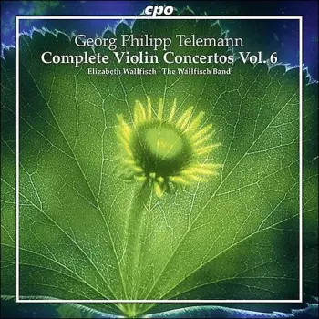 Complete Violin Concertos Vol. 6