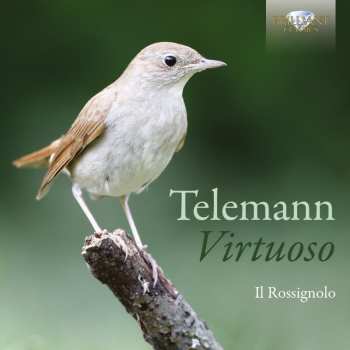 CD Georg Philipp Telemann: Virtuoso 621905