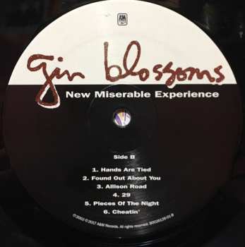 LP Gin Blossoms: New Miserable Experience 642944