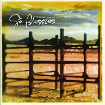 CD Gin Blossoms: Outside Looking In: The Best Of The Gin Blossoms 381216