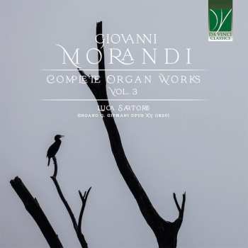 Album Giovanni Morandi: Complete Organ Works Vol. 3