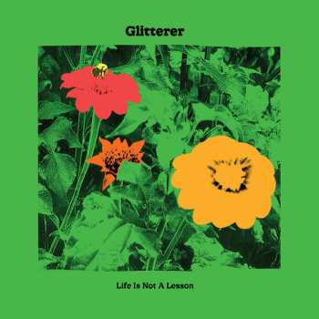 LP Glitterer: Life Is Not A Lesson CLR 592783