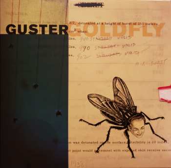 LP Guster: Goldfly 590348