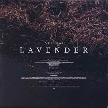 LP Half Waif: Lavender LTD 589239