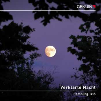 CD Franz Schubert: Verklarte Nacht 564546