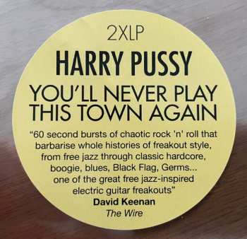 2LP Harry Pussy: You'll Never Play This Town Again 600969