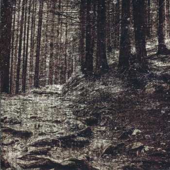 CD Hate Forest: Sorrow 33706