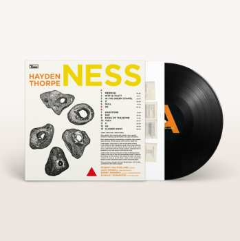 LP Hayden Thorpe: Ness 633517