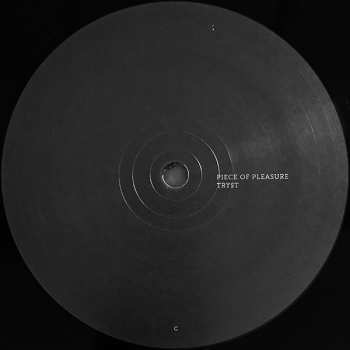 2LP Helena Hauff: Discreet Desires  258935