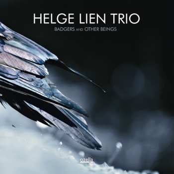 LP Helge Lien Trio: Badgers And Other Beings 67413