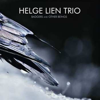 CD Helge Lien Trio: Badgers And Other Beings 176530