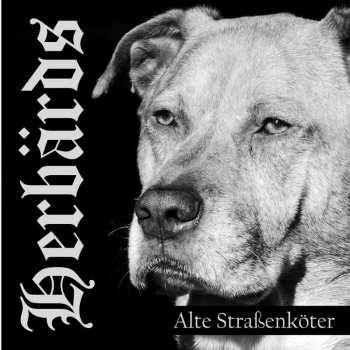 Album Herbärds: Alte Strassenköter