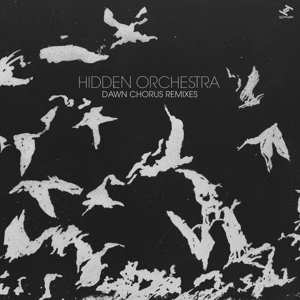 2LP Hidden Orchestra: Dawn Chorus Remixes  589541