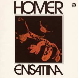 LP Homer: Ensatina 626231