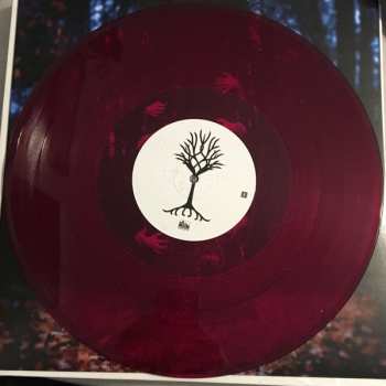 2LP I See Stars: Treehouse 47737