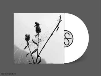 LP Iamnoone: Dead Season CLR | LTD 552577