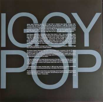 2LP Iggy Pop: Pop Music CLR | LTD | NUM 570887