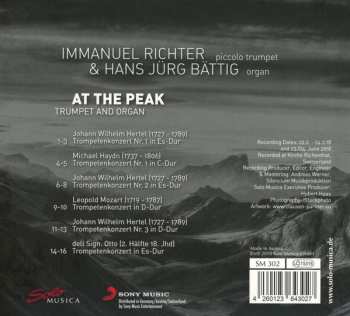 CD Immanuel Richter: At The Peark 98533