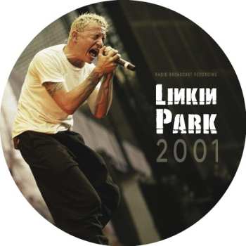 Album Linkin Park: In The Back Of My Head (Live in Auburn Hills, Michigan, Oct 15, 2001)