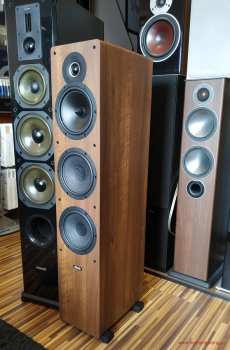 Audiotechnika Indiana Line Tesi 661 - Walnut