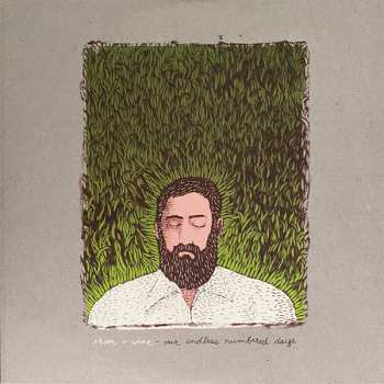 2LP Iron And Wine: Our Endless Numbered Days  DLX 626197