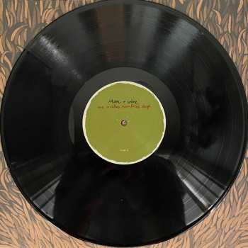 2LP Iron And Wine: Our Endless Numbered Days  DLX 626197