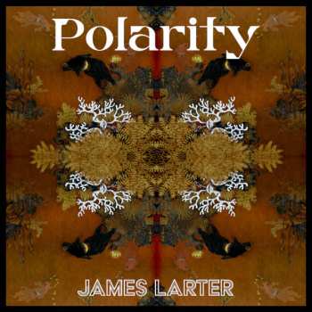 Album James Larter: Polarity