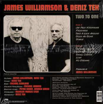 LP James Williamson: Two To One 600858