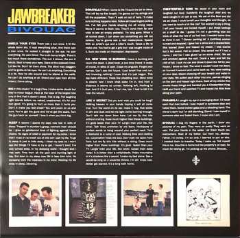 LP Jawbreaker: Bivouac 571594