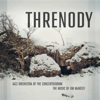 Album Jazz Orchestra Of The Concertgebouw: Threnody - The Music of Jim McNeely