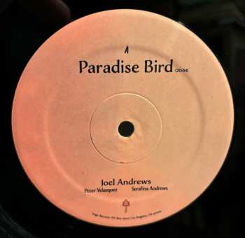 LP Joel Andrews: Paradise Bird 581878