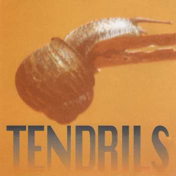 Album Joel Silbersher: Tendrils