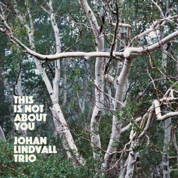 CD Johan Lindvall Trio: This Is Not About You 599889