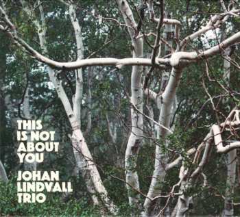 Johan Lindvall Trio: This Is Not About You