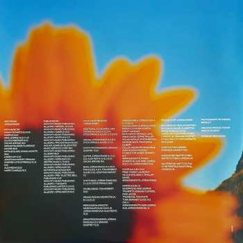 2LP Jordan Rakei: The Loop CLR | LTD 633876