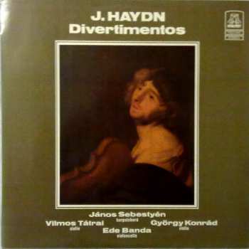 LP Joseph Haydn: Divertimentos 558152