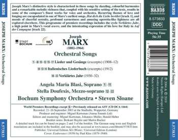 CD Bochumer Symphoniker: Orchestral Songs 564446