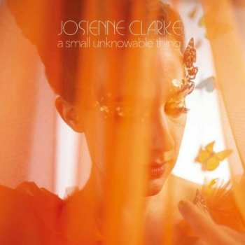 Josienne Clarke: A Small Unknowable Thing