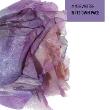 Album Julius Immerweiter / Windisch: In Its Own Pace