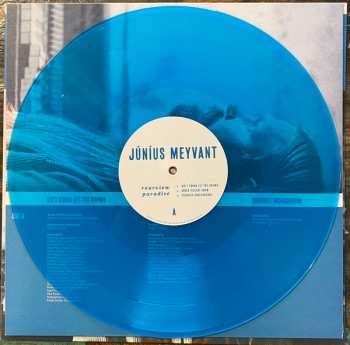 LP Júníus Meyvant: Rearview Paradise LTD 343216