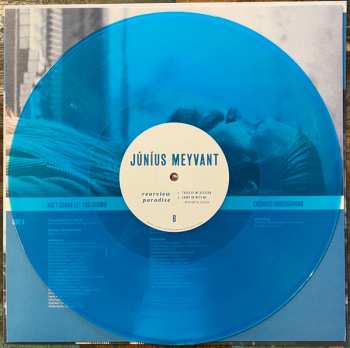 LP Júníus Meyvant: Rearview Paradise LTD 343216