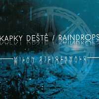 Album Milan Steigerwald: Kapky deště