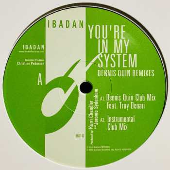 Album Jerome Sydenham And Kerri Chandler: You're In My System (Dennis Quin Remixes)