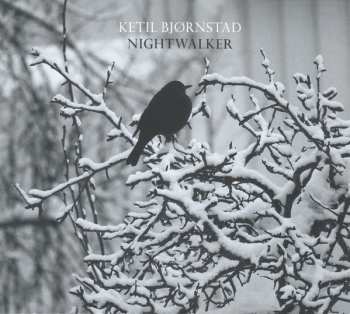 2CD Ketil Bjørnstad: Nightwalker 463508