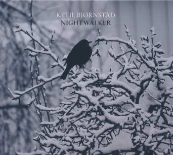 2CD Ketil Bjørnstad: Nightwalker 463508