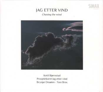 Album Ketil Bjørnstad: Jag Etter Vind = Chasing The Wind