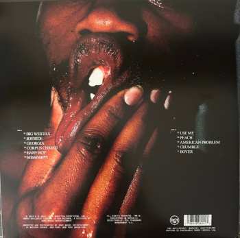 LP Kevin Abstract: Arizona Baby CLR 609944